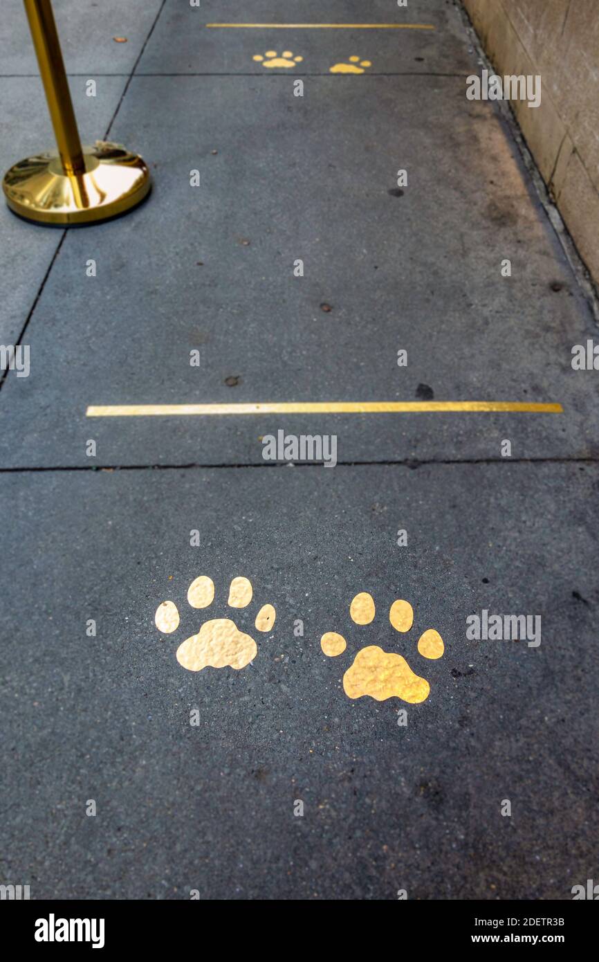 Social Distancing Markers sul marciapiede fuori della Cartier Mansion, New York City, Stati Uniti Foto Stock