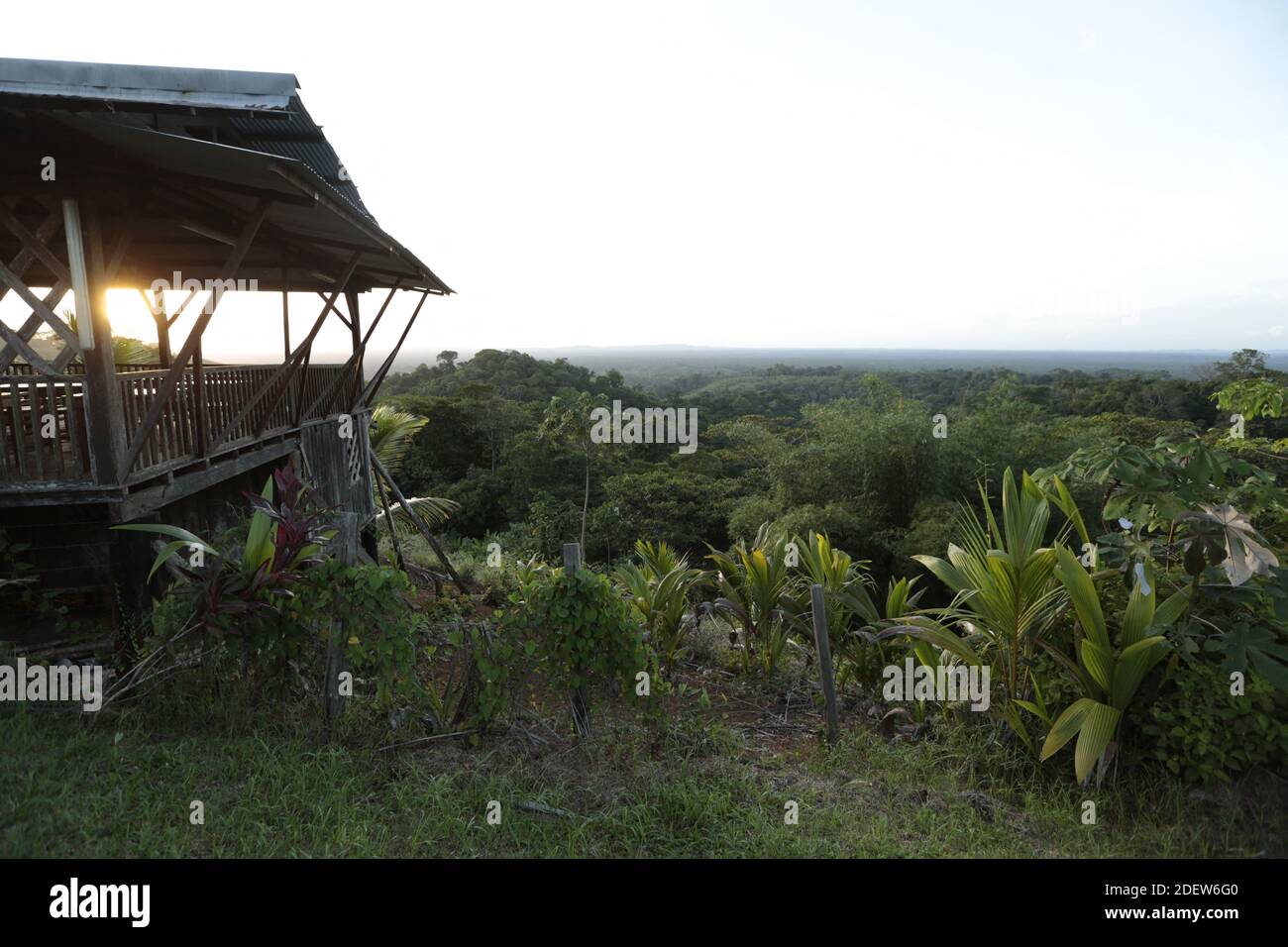 CACAO, GUYANA FRANCESE - 13 NOVEMBRE: Vita quotidiana degli agricoltori Hmongs il 13 novembre 2019 a Cacao, Guyana francese. Gli Hmong sono un popolo del Sud-est asiatico proveniente dalle montagne che sono stati perseguitati per 40 anni dai gouvernements del Laos e del Vietnam. Fu la guerra del Vietnam a rompere il loro isolamento. Dopo aver combattuto per la loro libertà con l'esercito francese nel 1950 e americano nel 1970 molti Hmong sono oggi rifugiati in Guyana francese e negli Stati Uniti.(Photo by Patrick Aventurier/ABACAPRESS.COM) Foto Stock