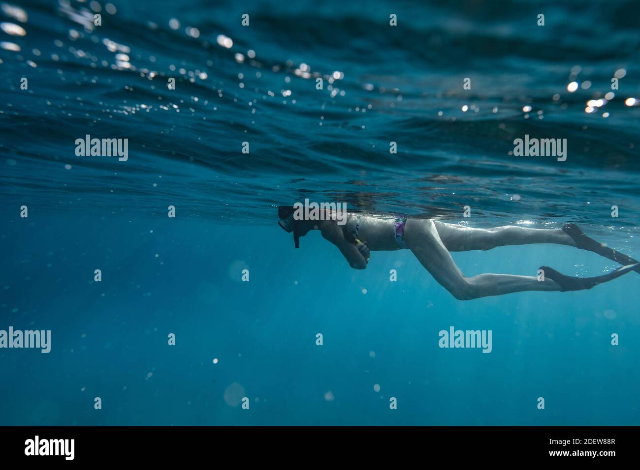 Donne che praticano snorkeling sulla superficie dell'oceano alle hawaii Foto Stock