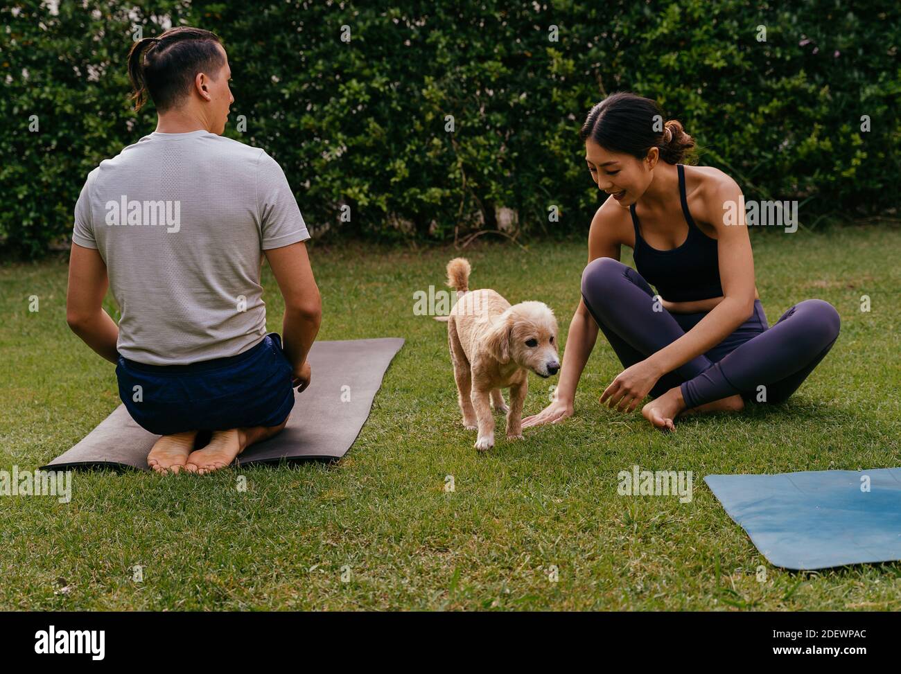 Donna asiatica felice che gioca con il cane mentre si siede sul prato vicino all'uomo durante la lezione di yoga in cortile d'estate Foto Stock