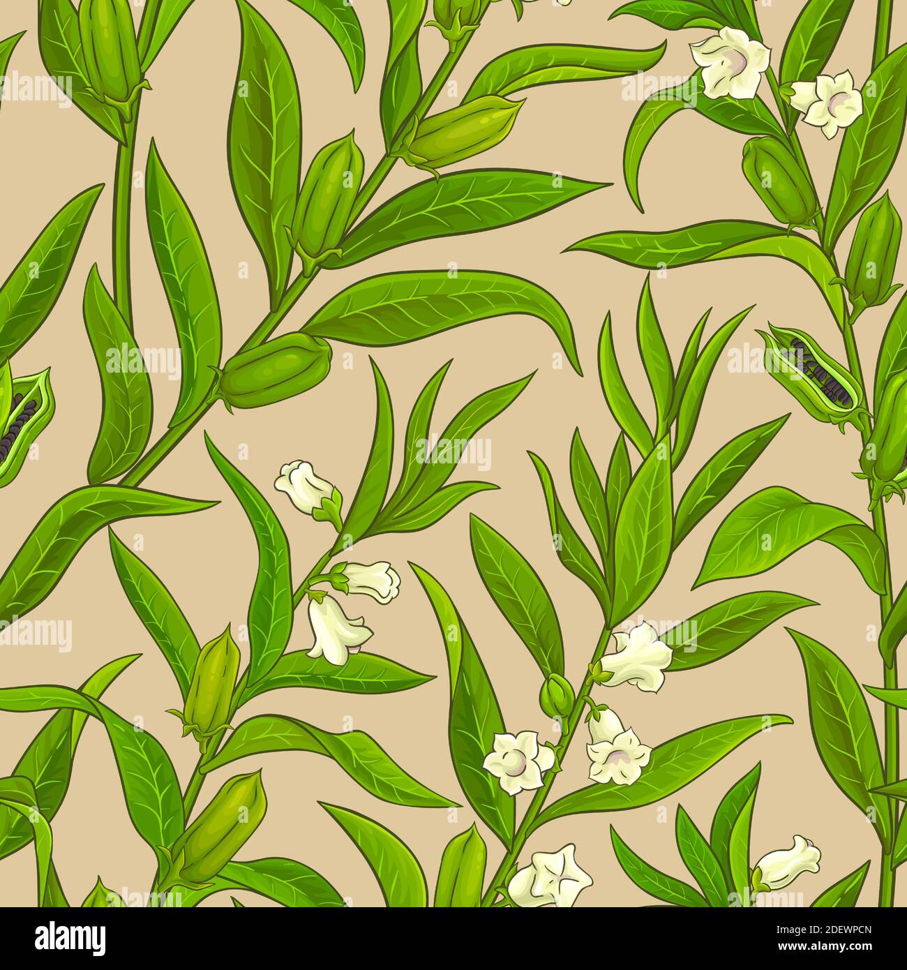 pattern vettoriale sesamo Illustrazione Vettoriale