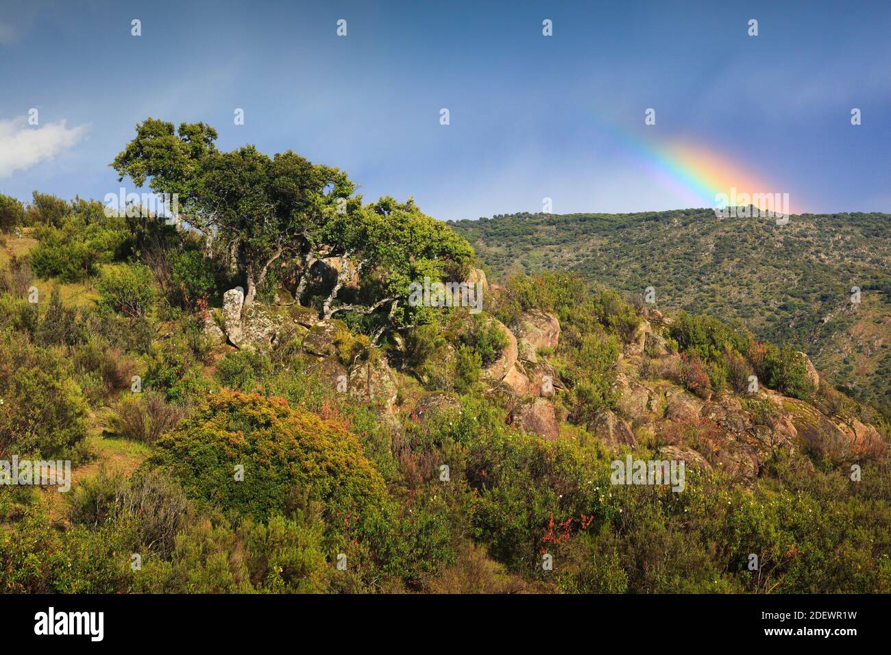 Geografia / viaggio, Spagna, paesaggio tipico nel parco nazionale Sierra de Andújar, provincia Jaén, AN, diritti aggiuntivi-clearance-Info-non-disponibile Foto Stock