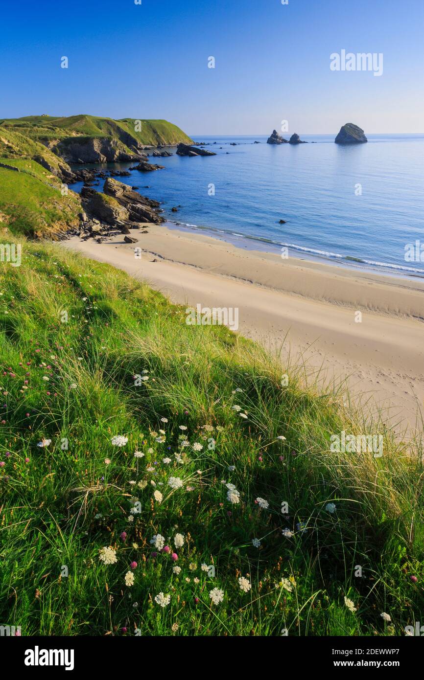 Geografia / viaggio, Gran Bretagna, Scozia, spiaggia sabbiosa sulla costa settentrionale, diritti aggiuntivi-clearance-Info-non-disponibile Foto Stock
