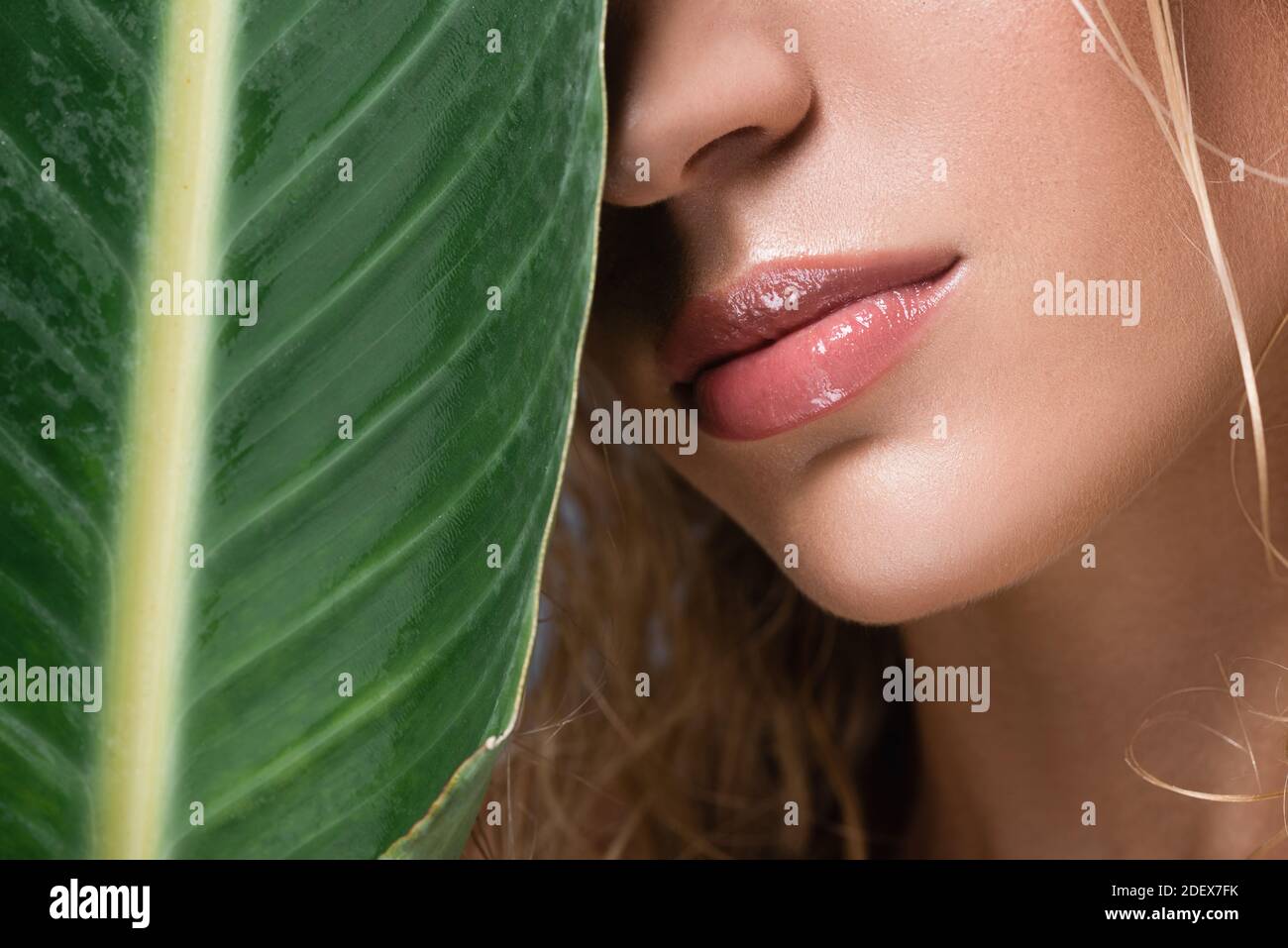 vista tagliata di donna bionda con capelli bagnati e verde foglia Foto Stock