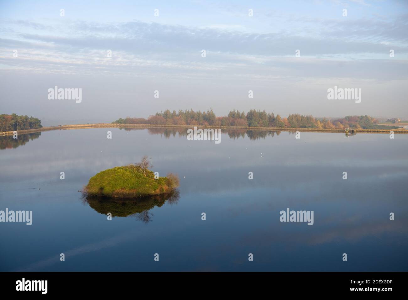 Piccoli uccelli bianchi riposano sulla superficie delle acque ferme presso i serbatoi di Redmires. Il muro della diga circonda l'acqua e un'isola insolita è in primo piano. Foto Stock