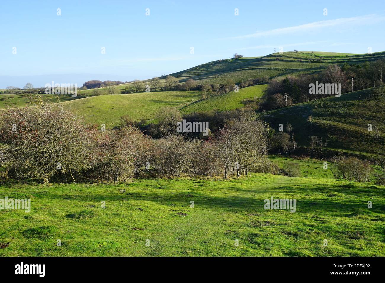 Una vista su Deacon Hill vicino a Pegsdon Foto Stock