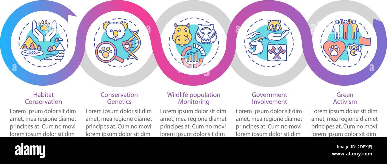 Modello infografico vettoriale per la conservazione della fauna selvatica Illustrazione Vettoriale