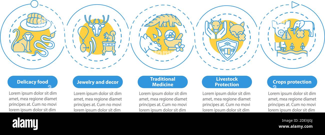 Modello infografico di vettore di crudeltà animale esotico Illustrazione Vettoriale