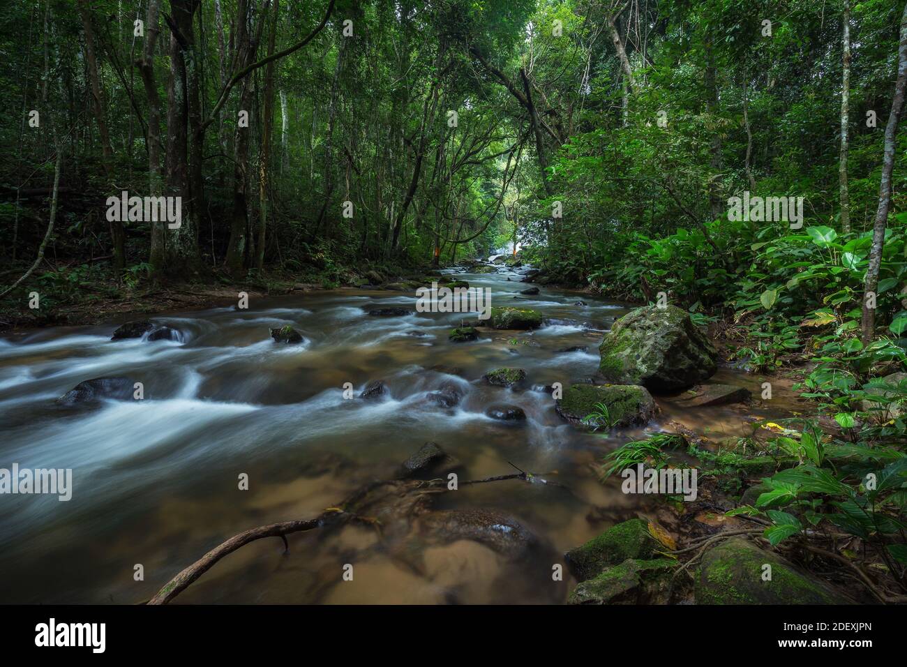 lotto di pietre verdi naturali nel mezzo del acqua dalla bella cascata rinfrescante per ecoturismo foresta pluviale Foto Stock