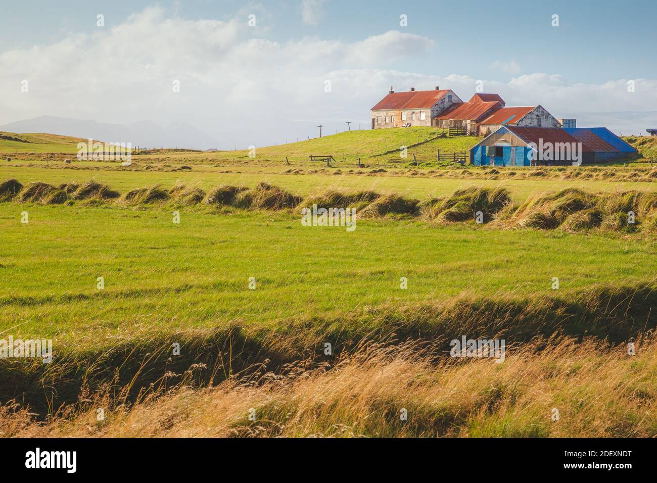 Pittoresca scena pastorale dal Sud Islanda. Foto Stock