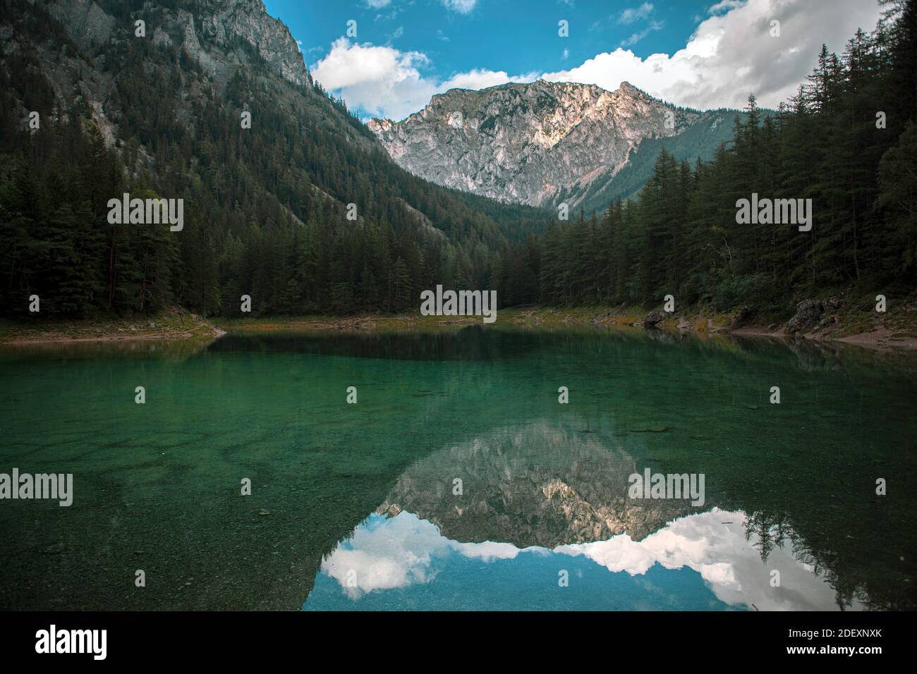 Lago verde in Austria con montagne e pinete Foto Stock
