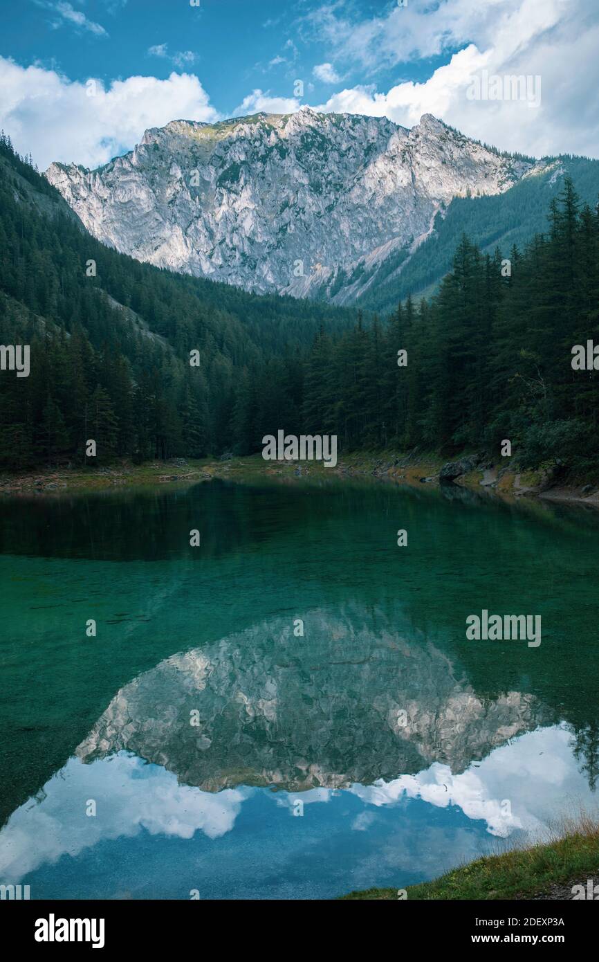 Lago verde in Austria con montagne e pinete Foto Stock