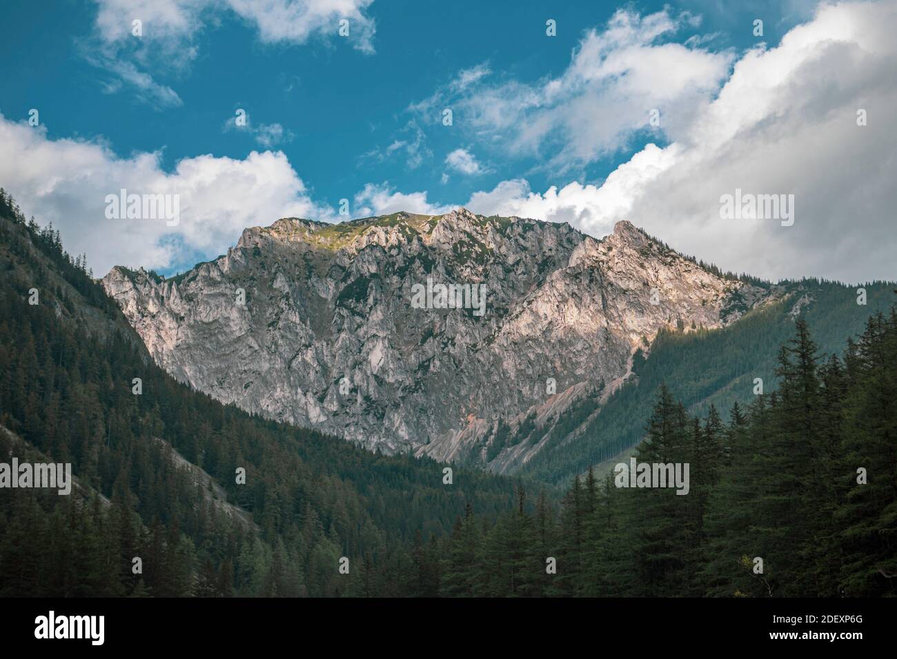 Lago verde in Austria con montagne e pinete Foto Stock