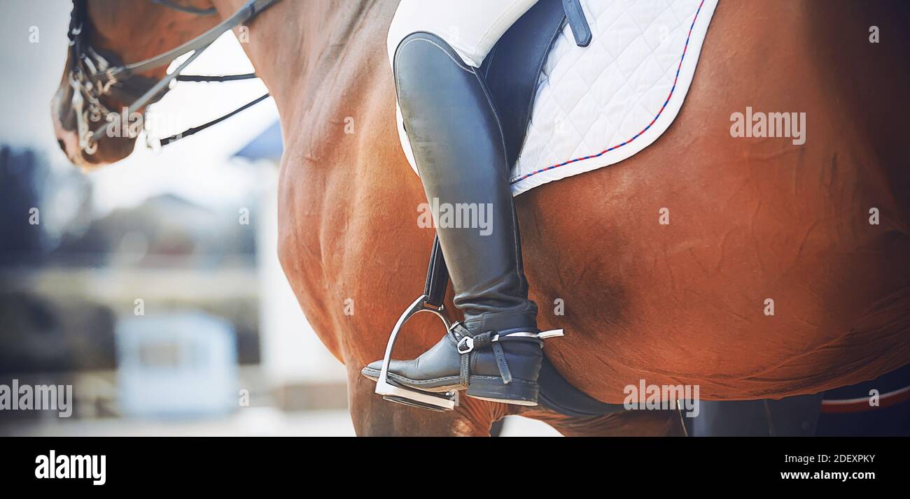 Su un cavallo di baia, con i piedi nelle staffe, siede un cavaliere in  stivali neri con speroni. Sport equestre. Equitazione. Dressage Foto stock  - Alamy