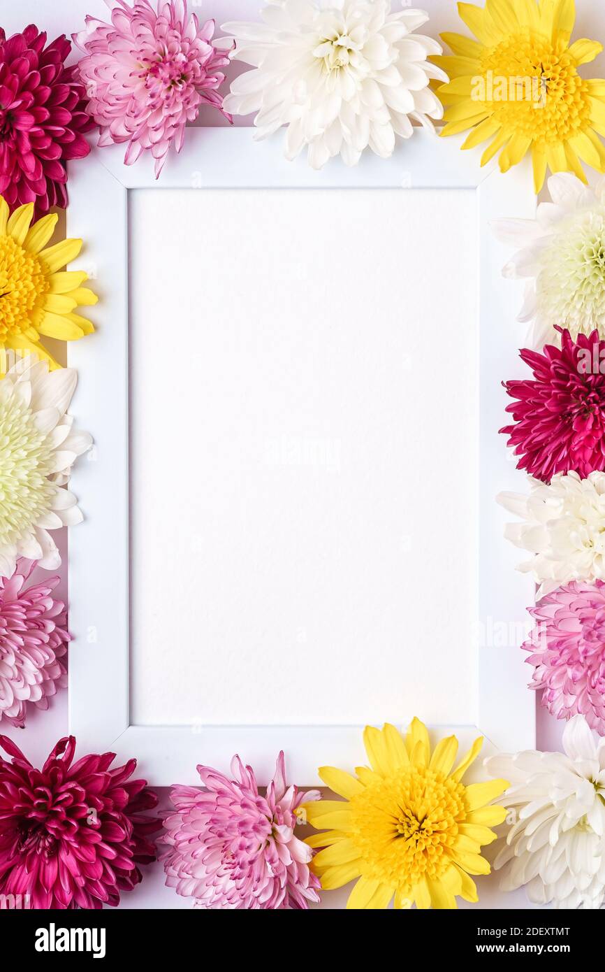 Immagine mockup cornice decorata con fiori di crisantemo Foto Stock