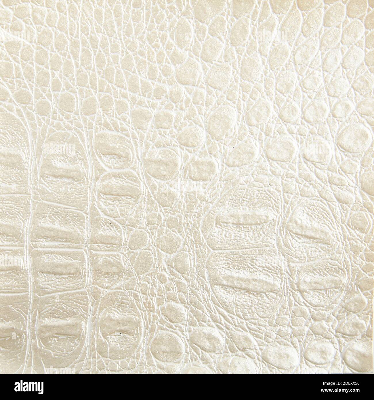 Sfondo in pelle di coccodrillo avorio di alta qualità per l'arredamento  Foto stock - Alamy