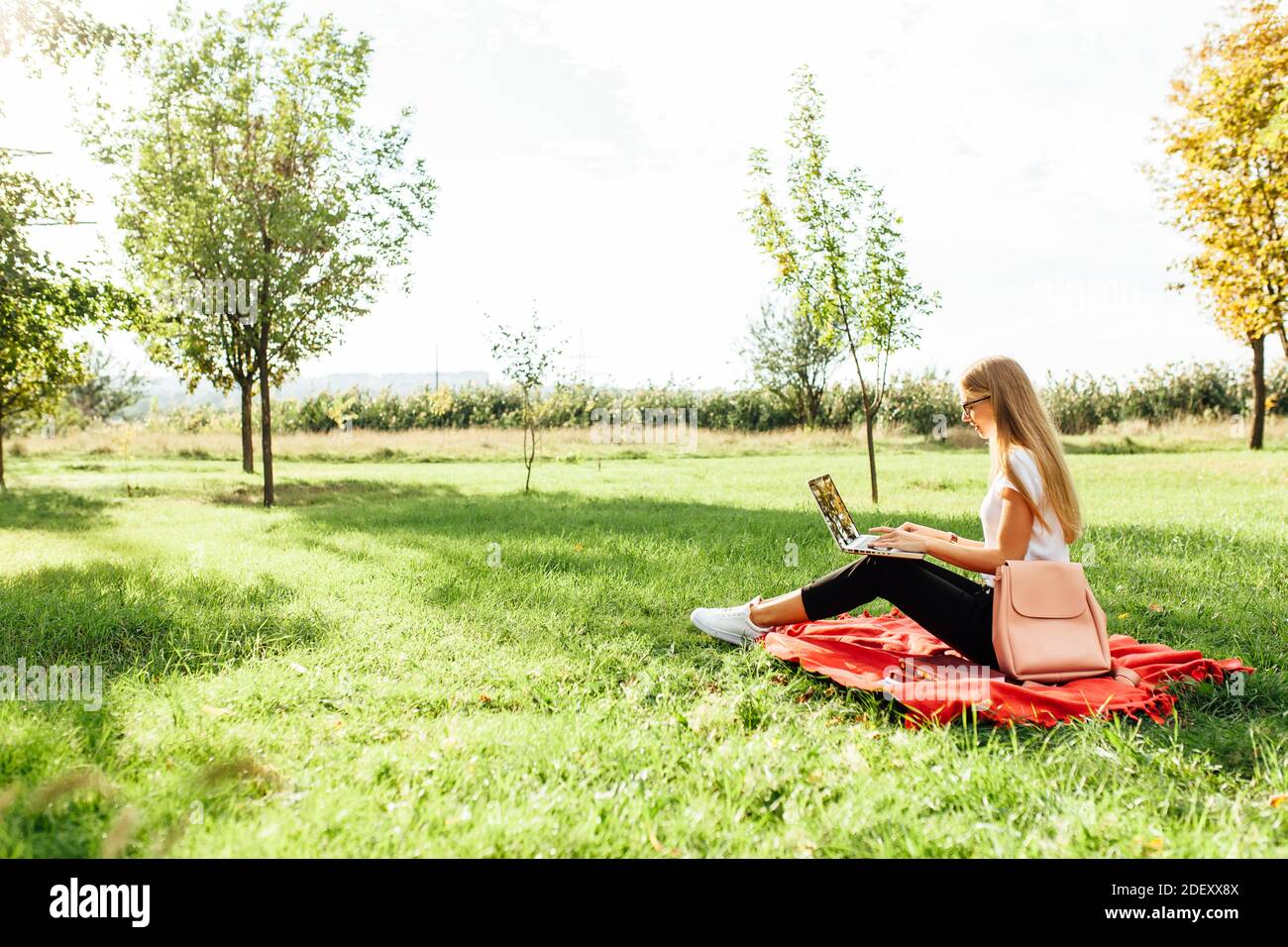 L'immagine di una bella studentessa con occhiali, che lavora su un computer portatile, seduto su una coperta rossa nel Parco facendo compiti Foto Stock