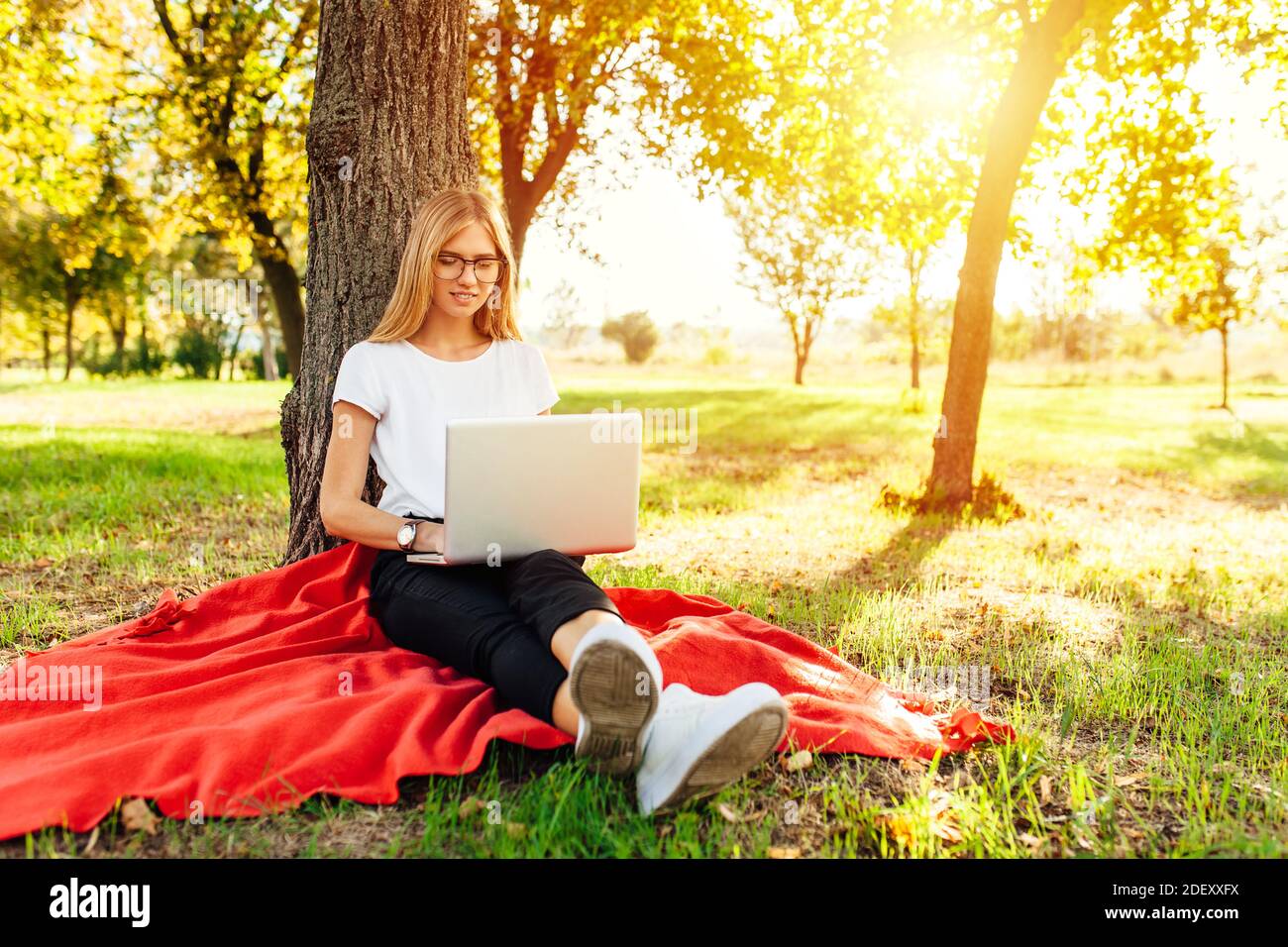 L'immagine di una bella studentessa con occhiali, che lavora al laptop, seduto su una coperta rossa nel Parco vicino all'albero, facendo i compiti Foto Stock