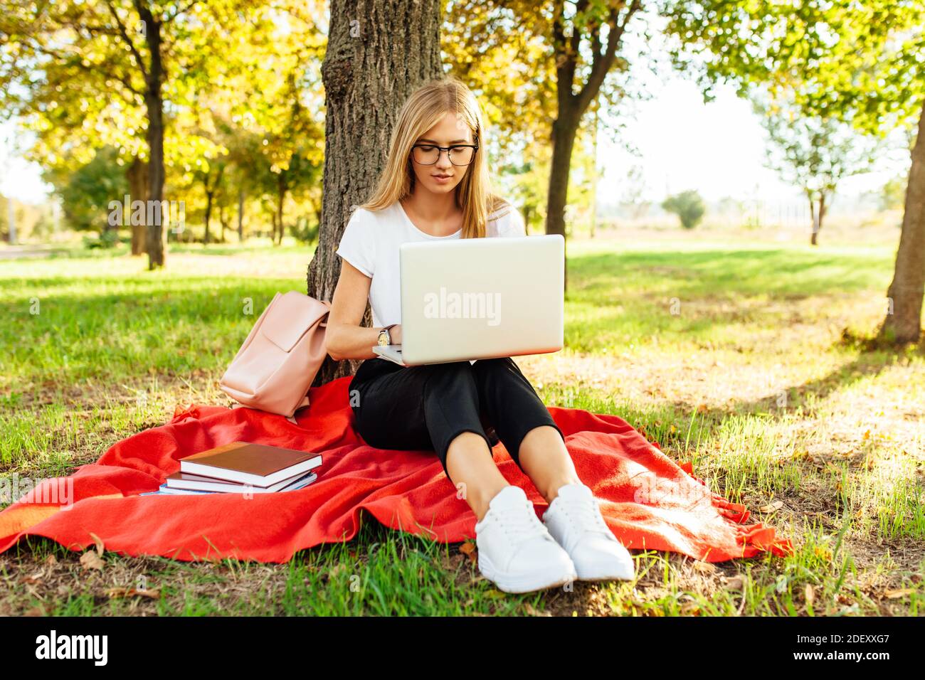 L'immagine di una bella studentessa con occhiali, che lavora al laptop, seduto su una coperta rossa nel Parco vicino all'albero, facendo i compiti Foto Stock