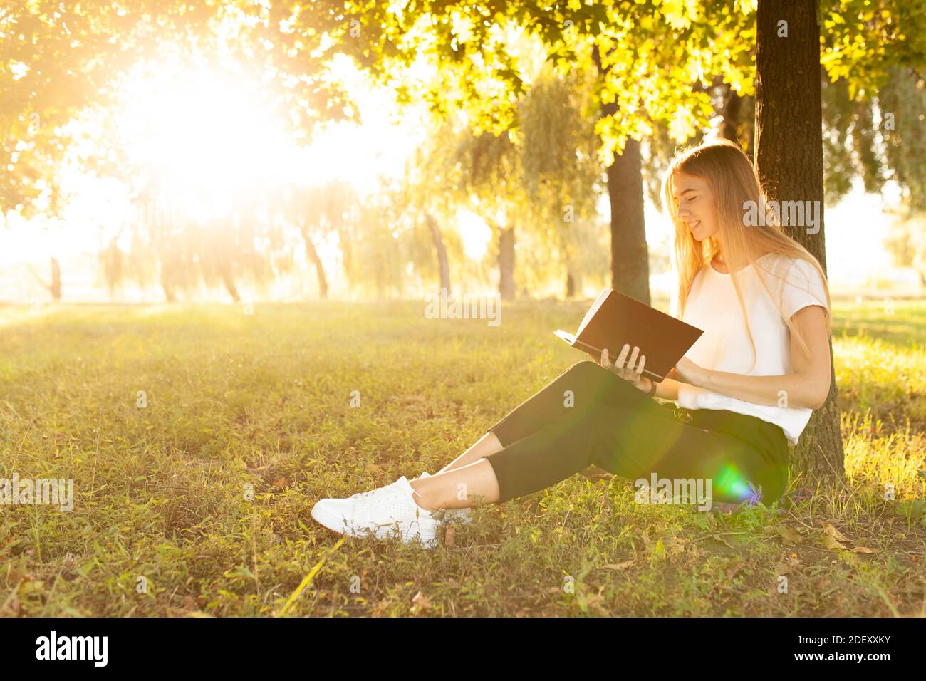 Bella ragazza che legge un libro seduto in un parco vicino un albero al tramonto Foto Stock