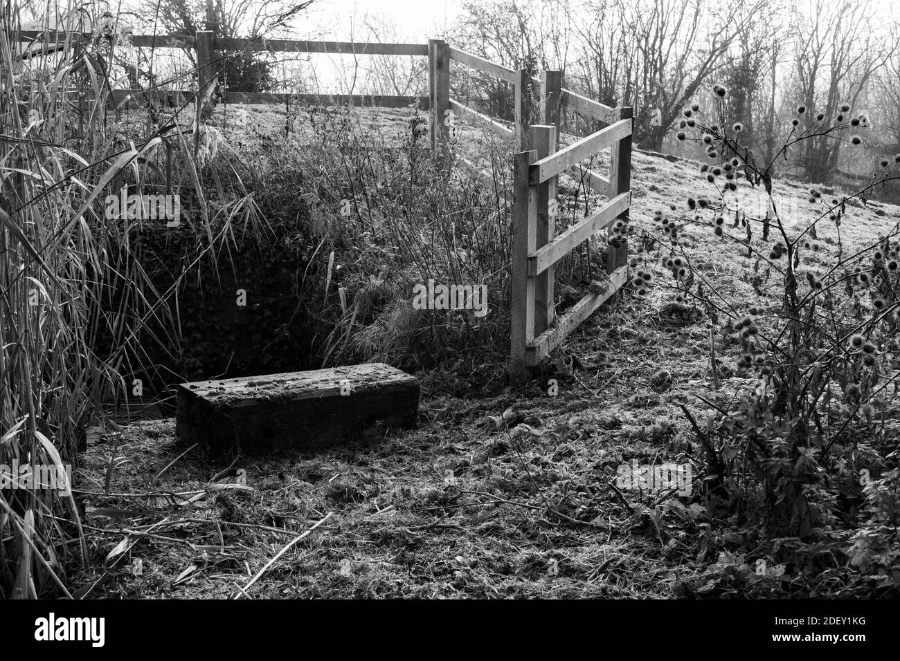 Droitwich Spa Marina Foto Stock