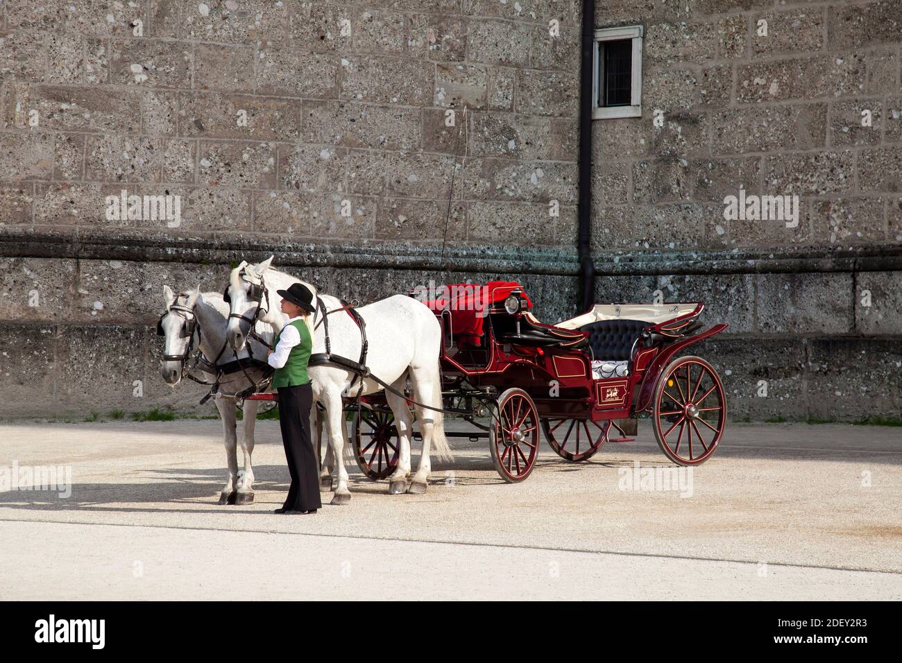 Cavallo e carrozza di fronte al Duomo, Salisburgo, Austria, Europa Foto Stock