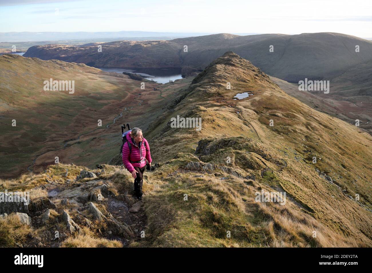 Walker femminile attivo di mezza età arrampicarsi su Long Stile sulla montagna di High Street con Rough Crag e la Valle di Riggindale come sfondo, Lak Foto Stock