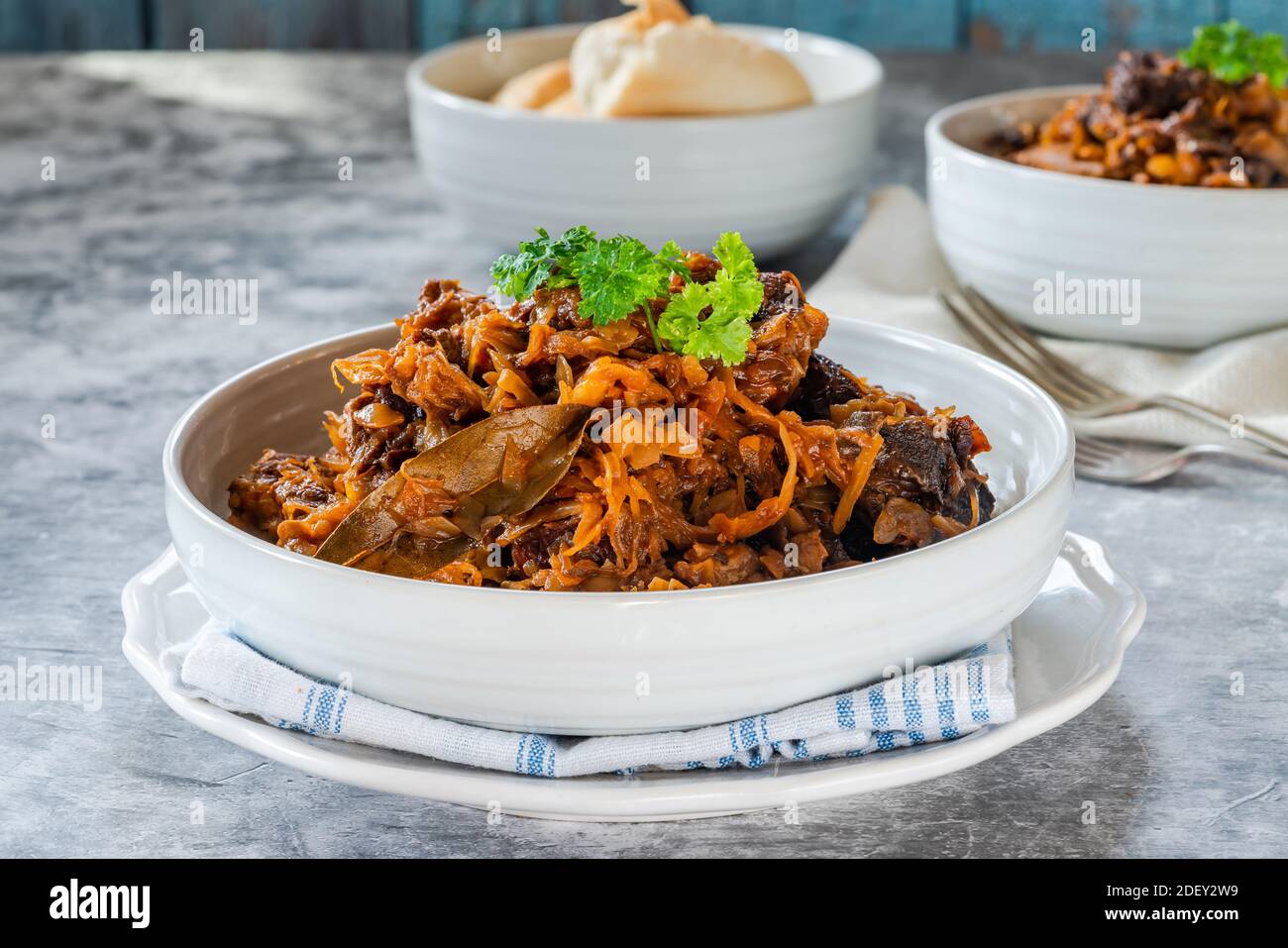 Bigos - piatto tradizionale polacco di carne tagliata stufata con crauti e cavolo fresco grattugiato Foto Stock
