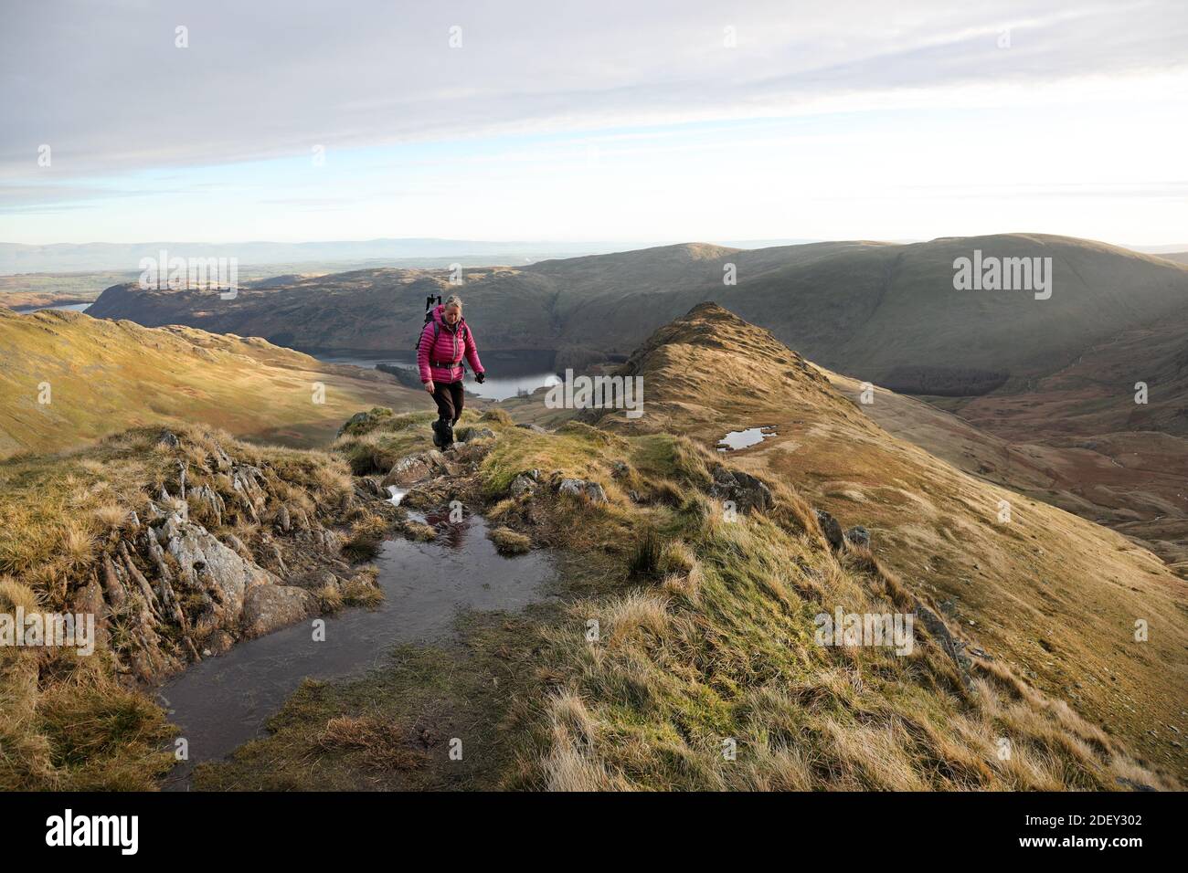 Walker femminile attivo di mezza età arrampicarsi su Long Stile sulla montagna di High Street con Rough Crag e la Valle di Riggindale come sfondo, Lak Foto Stock