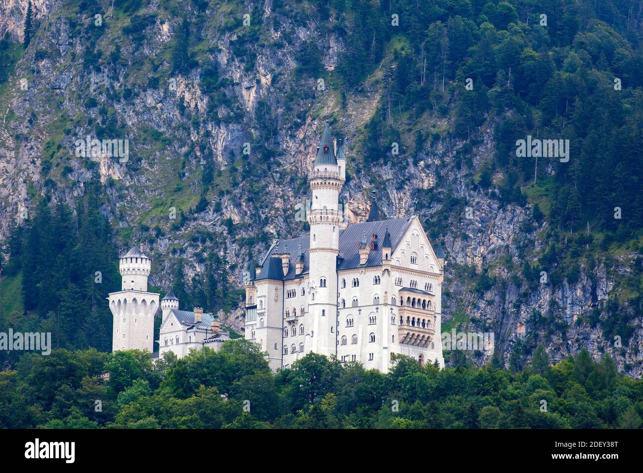 Castello di Neuschwanstein, Schwangau, Alpi Bavaresi, Allgäu, Svevia, Baviera, Germania, Europa Foto Stock