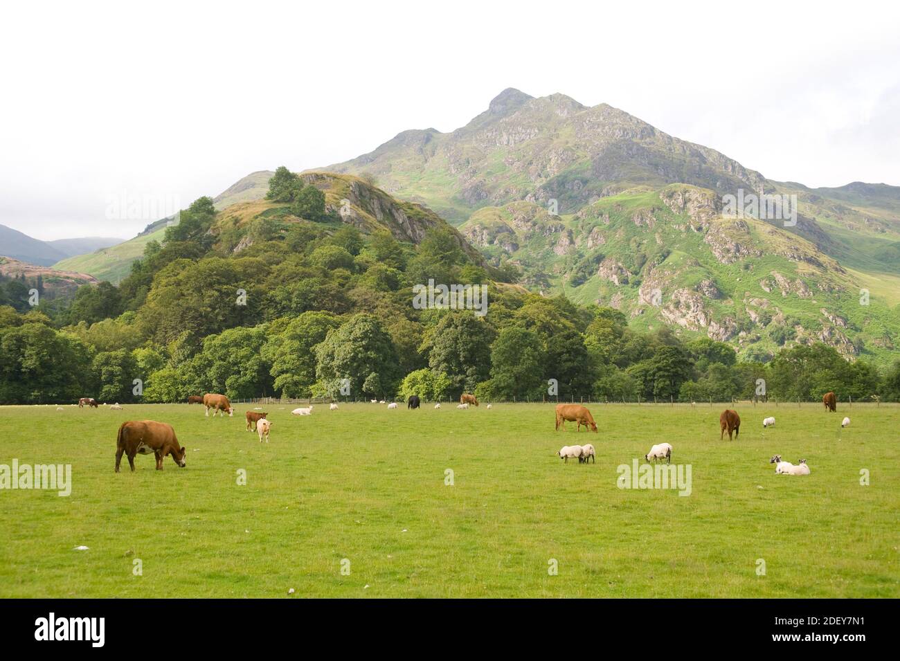 Paesaggio agricolo del Perthshire. Foto Stock