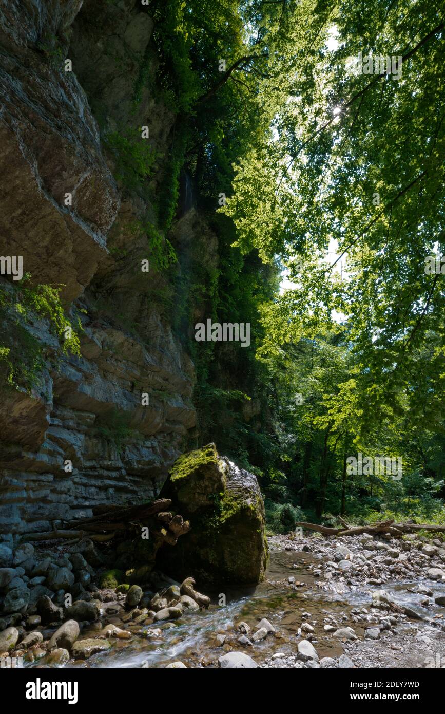 Svizzera, Vaud, Waadt, Montreux, Georges du Chauderon, rivière, bach, Fluss, fiume, Baye de Montreux Foto Stock