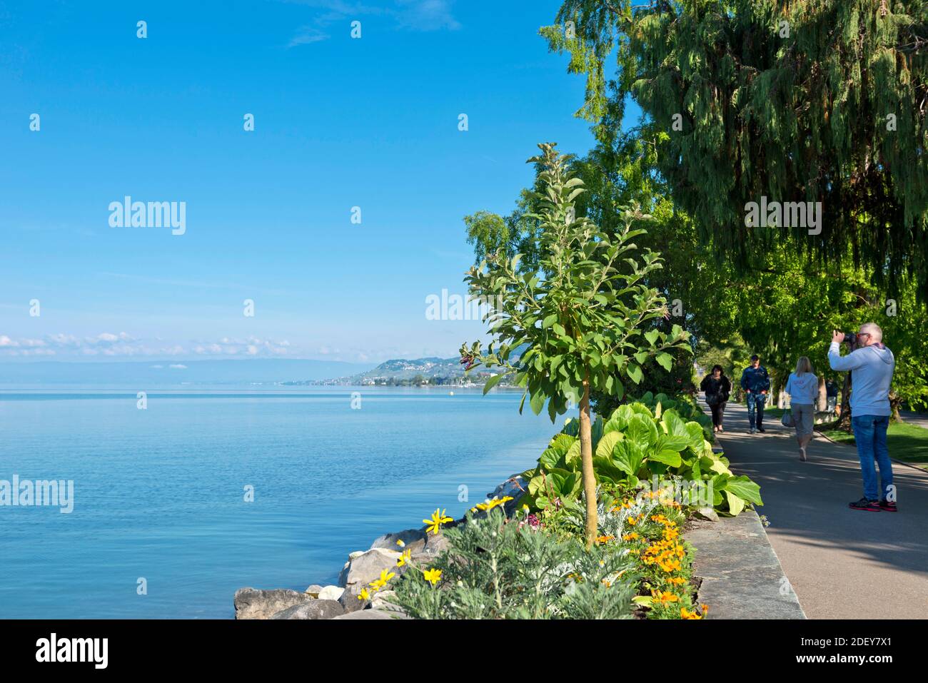 Svizzera, Vaud, Waadt, Lac Léman, Genfer See, Lago di Ginevra, Montreux, ville, Stadt, città, Les quais, die Docks, le banchine Foto Stock