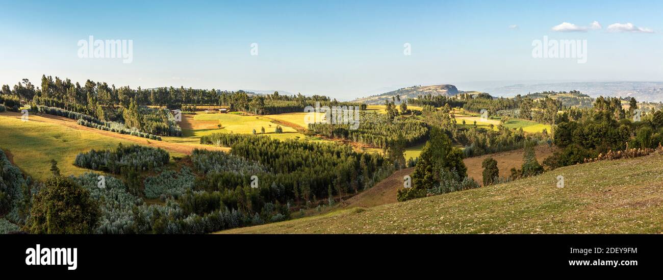 Panorama degli splendidi altopiani dell'Etiopia. Foto Stock