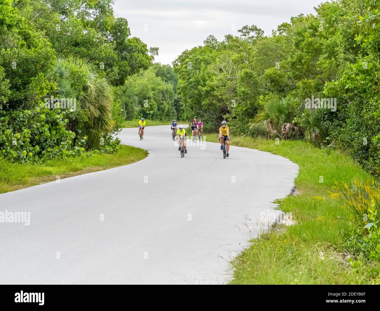 Persone in bicicletta a J.N. Ding Darling National Wildlife Refuge sull'isola di Sanibel in Florida negli Stati Uniti Foto Stock