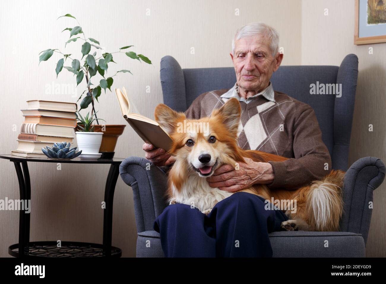 ritratto di uomo anziano con cane corde seduto in poltrona e libri di  lettura. tempo libero vecchio Foto stock - Alamy