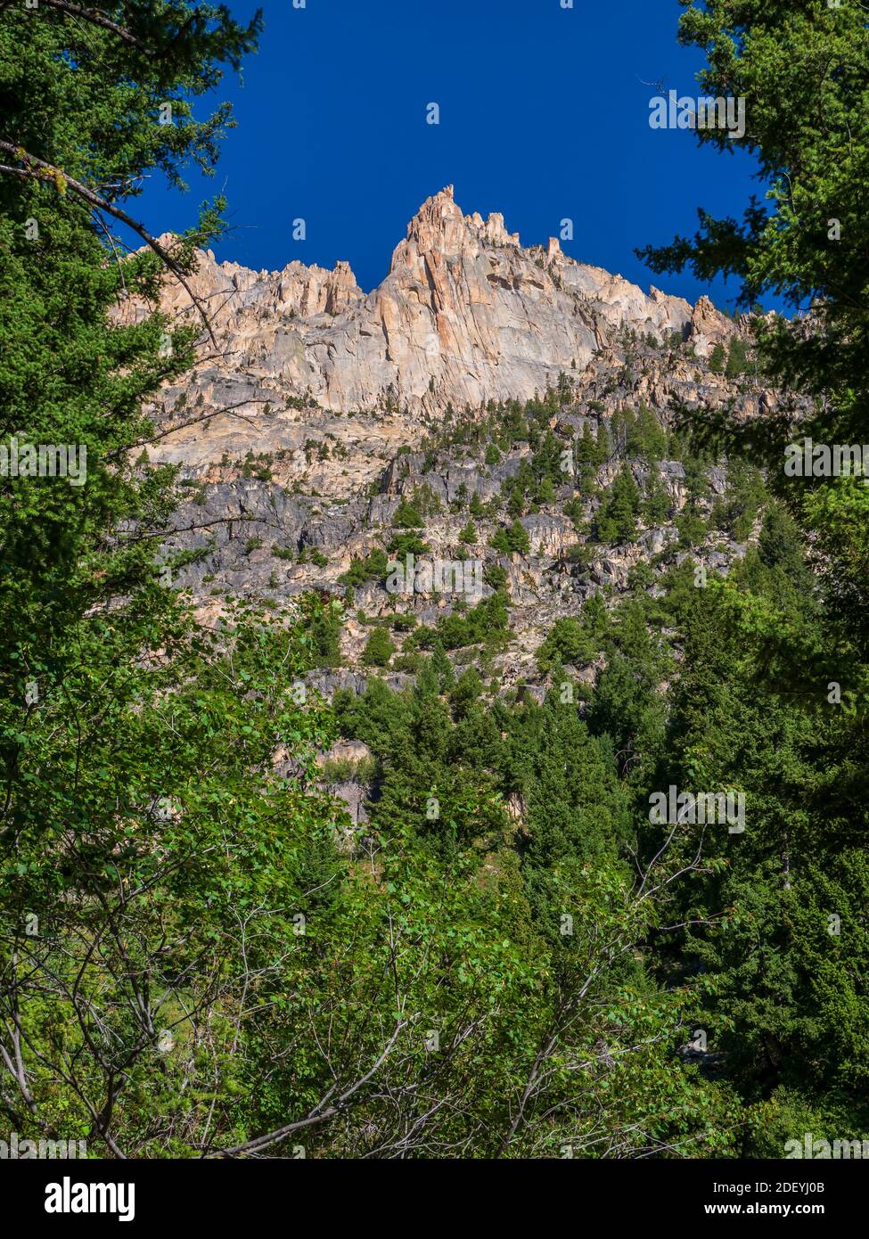 Sawtooth Mountain Peaks lungo il Redfish Lake Creek Trail, Sawtooth National Recreation Area, Stanley, Idaho. Foto Stock