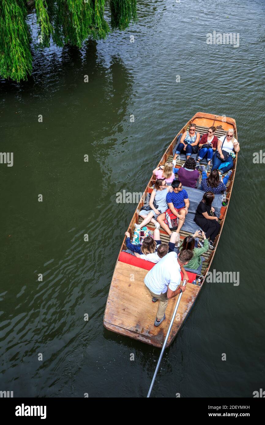Persone punting sul fiume Cam, Cambridge, Cambridgeshire, England, Regno Unito Foto Stock