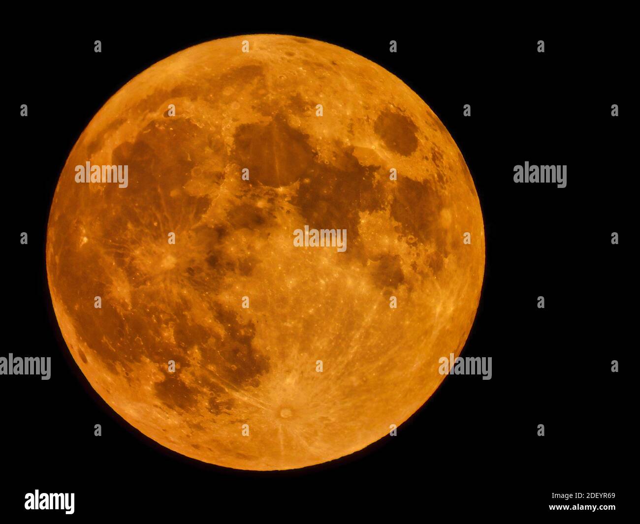 Luna piena di raccolto in un arancione brillante e giallo in Un Pitch Black Sky con vista astronomica, inclusi i crateri lunari Foto Stock
