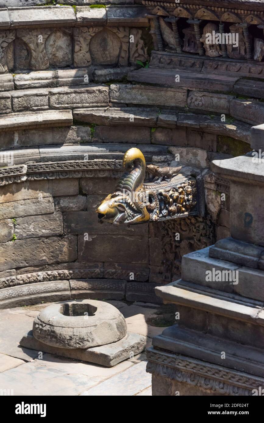 I serpenti si innalzano nel carro armato di Naga Pokhari nel Palazzo reale, in Piazza Bhaktapur Durbar, sito patrimonio dell'umanità dell'UNESCO, Bhaktapur, Nepal Foto Stock