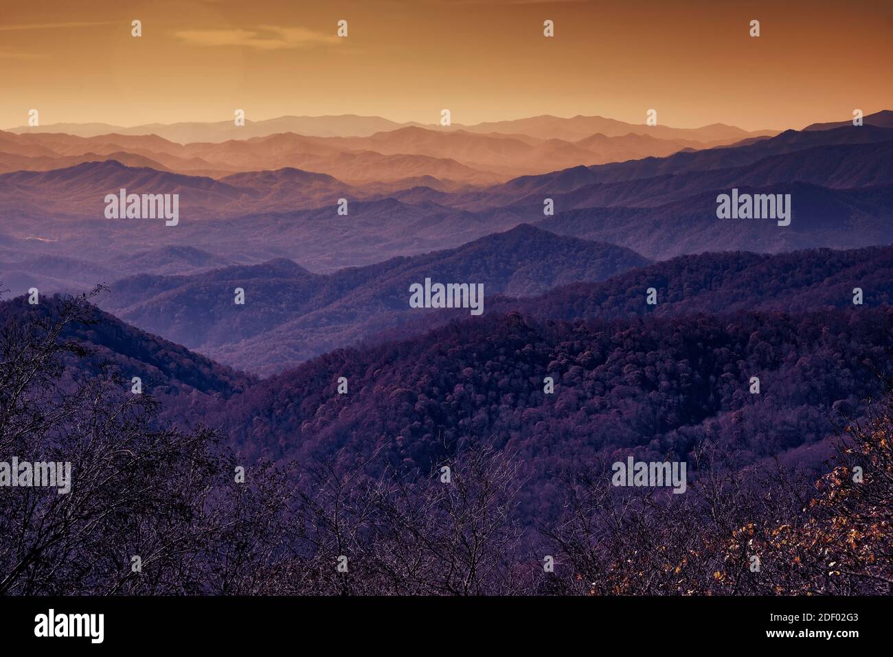 Bagliore d'oro sulle Blue Ridge Mountains del North Carolina Foto Stock