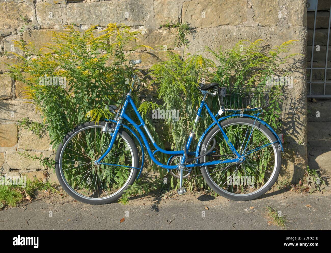 Blaues Fahrrad, Dresda, Sachsen, Germania Foto Stock