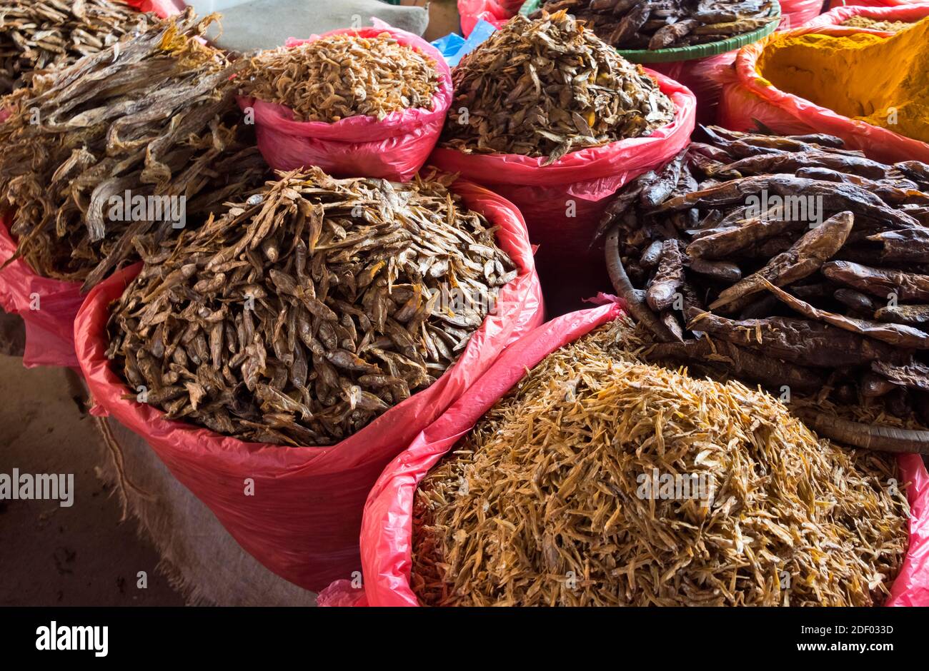 Vendita di pesce al mercato, Kathmandu, Nepal Foto Stock
