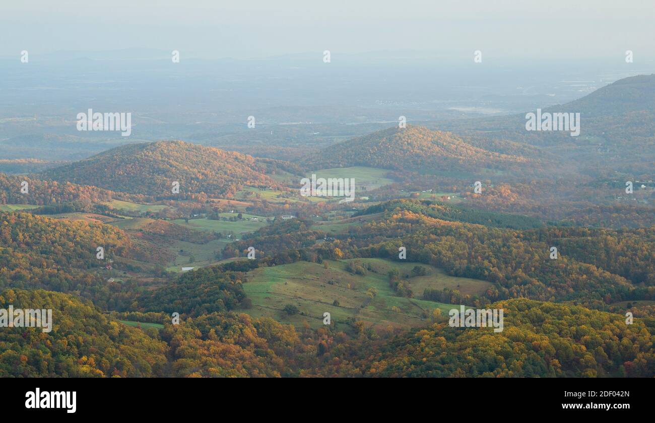 Il fogliame autunnale coperte le foreste nel Parco Nazionale di Shenandoah e Shenandoah Valley in Virginia. Foto Stock