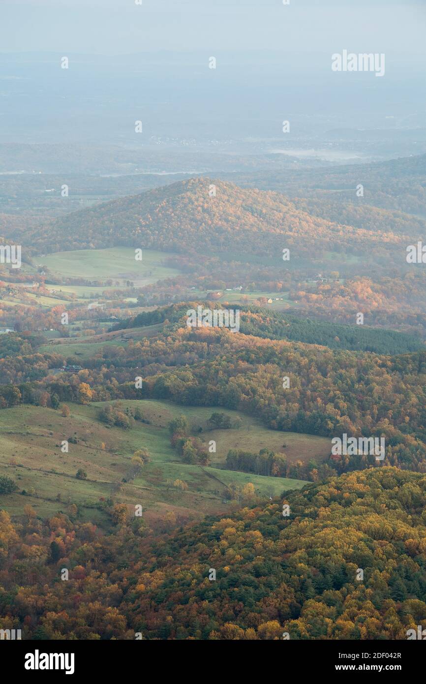 Il fogliame autunnale coperte le foreste nel Parco Nazionale di Shenandoah e Shenandoah Valley in Virginia. Foto Stock