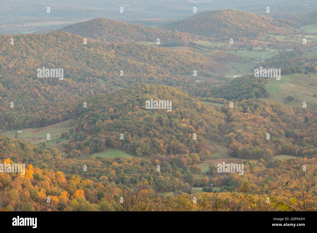 Il fogliame autunnale coperte le foreste nel Parco Nazionale di Shenandoah e Shenandoah Valley in Virginia. Foto Stock