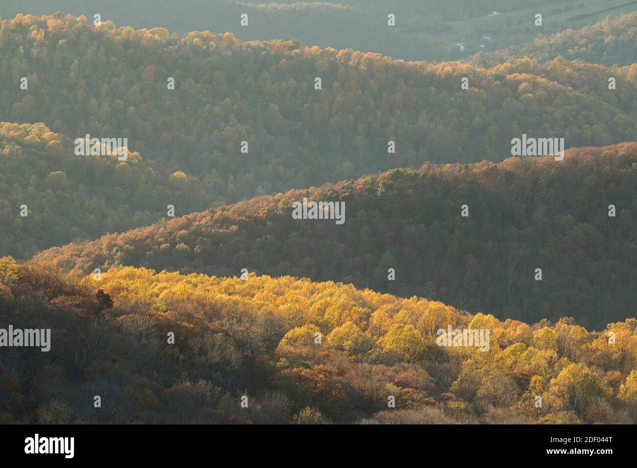 Il fogliame autunnale coperte le foreste nel Parco Nazionale di Shenandoah e Shenandoah Valley in Virginia. Foto Stock