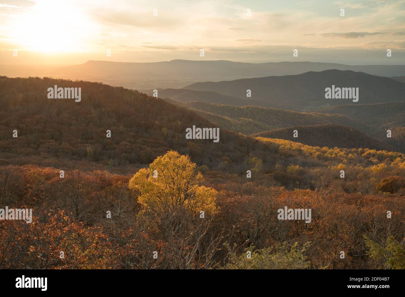 Autunno fogliame nel Shenandoah National Park e Shenandoah Valley in Virginia. Foto Stock
