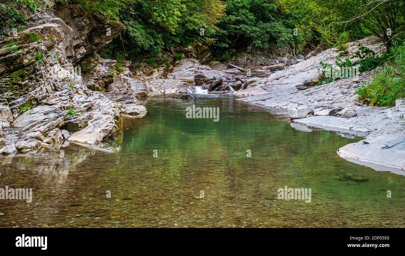 Torrente verde naturale che scorre nel bosco. Colline di Modena, Emilia e Romagna, Italia. Foto Stock