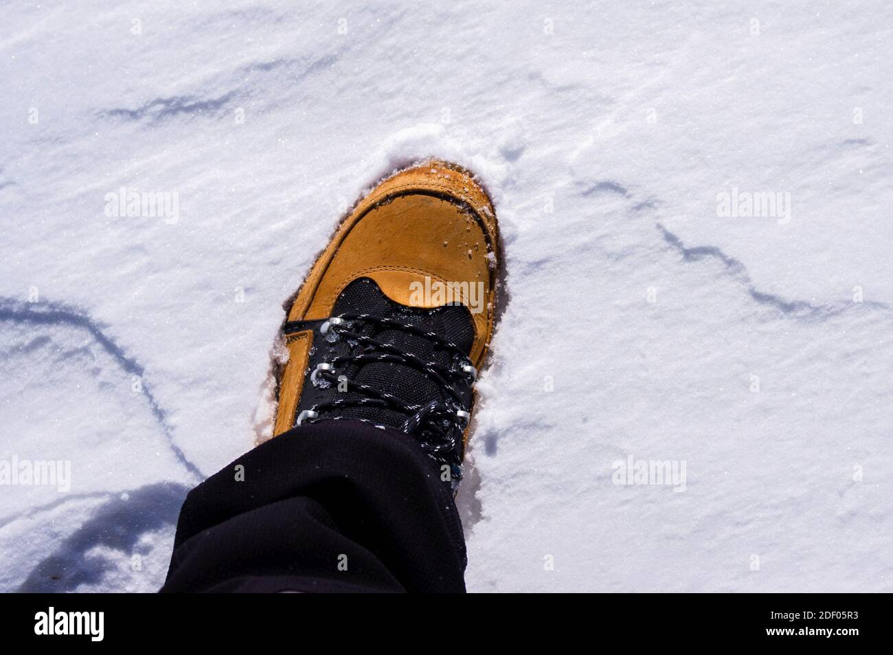 Scarponi da trekking nella neve, durante la passeggiata invernale Foto Stock